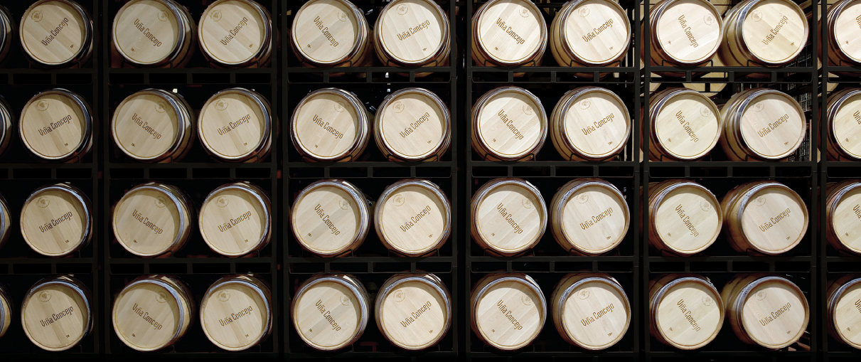bodegas-concejo-valladolid-vino