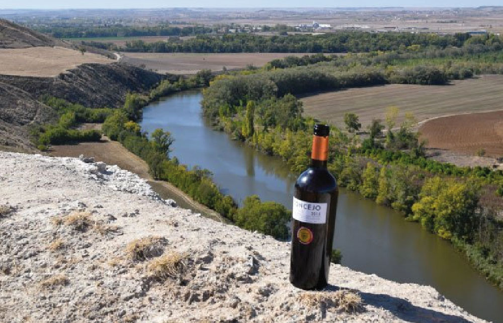 enoturismo-valladolid-unicas