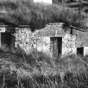 vinos-y-mieles-singulares-3