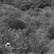 vinos-y-mieles-singulares-8
